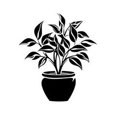Fototapeta na wymiar leaf vector, herb silhouette, silhouette plant, silhouette flower, silhouette floral, plantpot, leaf, tree, plant, nature, vector, bamboo, pattern, branch, silhouette, floral, flower, design, illustr