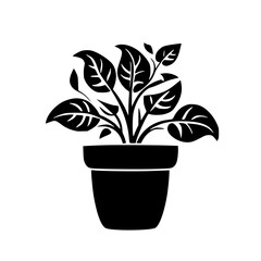  leaf vector, herb silhouette, silhouette plant, silhouette flower, silhouette floral, plantpot, leaf, tree, plant, nature, vector, bamboo, pattern, branch, silhouette, floral, flower, design,