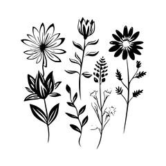  leaf vector, herb silhouette, silhouette plant, silhouette flower, silhouette floral, plantpot, leaf, tree, plant, nature, vector, bamboo, pattern, branch, silhouette, floral, flower, design,