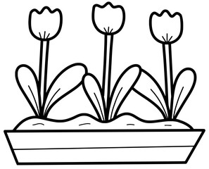 illustration of a tulip