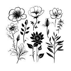  leaf vector, herb silhouette, silhouette plant, silhouette flower, silhouette floral, plantpot, leaf, tree, plant, nature, vector, bamboo, pattern, branch, silhouette, floral, flower, design,