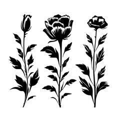  leaf vector, herb silhouette, silhouette plant, silhouette flower, silhouette floral, plantpot, leaf, tree, plant, nature, vector, bamboo, pattern, branch, silhouette, floral, flower, design,