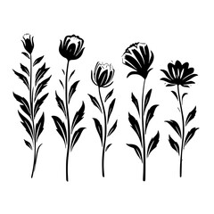  leaf vector, herb silhouette, silhouette plant, silhouette flower, silhouette floral, plantpot, leaf, tree, plant, nature, vector, bamboo, pattern, branch, silhouette, floral, flower, design,