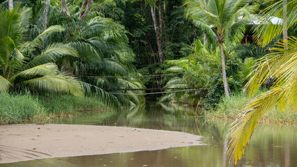 small suspension bridge over a river in the rainforest - 731804052