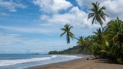 Tropical beach in Costa Rica's Osa Peninsula - 731804612