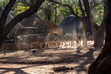 beautiful rural landscape on a summer day against the sky in Kenya