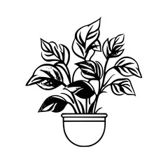  leaf vector, herb silhouette, silhouette plant, silhouette flower, silhouette floral, plantpot, leaf, tree, plant, nature, vector, bamboo, pattern, branch, silhouette, floral, flower, design,