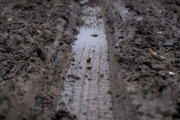 Tire tracks on a muddy road