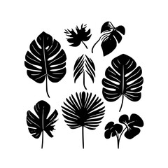  leaf vector, herb silhouette, silhouette plant, silhouette flower, silhouette floral, plantpot, leaf, tree, plant, nature, vector, bamboo, pattern, branch, silhouette, floral, flower, design,
