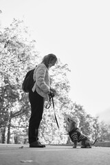 Dog training in autumn park at sunset. Happy brunette caucasian woman in casual clothes feeding her concentrated dachshund puppy outdoor. High quality vertical photo