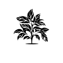  leaf vector, herb silhouette, silhouette plant, silhouette flower, silhouette floral, plantpot, leaf, tree, plant, nature, vector, bamboo, pattern, branch, silhouette, floral, flower, design,