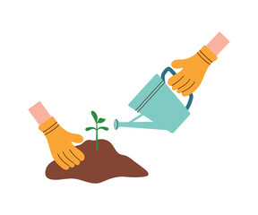 Hands in yellow rubber gloves water the sprout. Flat vector illustration, concept of gardening, vegetable gardening, planting seedlings.