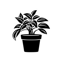 Fototapeta na wymiar leaf vector, herb silhouette, silhouette plant, silhouette flower, silhouette floral, plantpot, leaf, tree, plant, nature, vector, bamboo, pattern, branch, silhouette, floral, flower, design, illustr