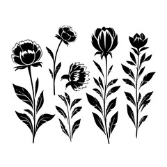  leaf vector, herb silhouette, silhouette plant, silhouette flower, silhouette floral, plantpot, leaf, tree, plant, nature, vector, bamboo, pattern, branch, silhouette, floral, flower, design, illustr