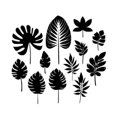  leaf vector, herb silhouette, silhouette plant, silhouette flower, silhouette floral, plantpot, leaf, tree, plant, nature, vector, bamboo, pattern, branch, silhouette, floral, flower, design, illustr