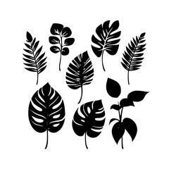  leaf vector, herb silhouette, silhouette plant, silhouette flower, silhouette floral, plantpot, leaf, tree, plant, nature, vector, bamboo, pattern, branch, silhouette, floral, flower, design, illustr