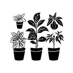  leaf vector, herb silhouette, silhouette plant, silhouette flower, silhouette floral, plantpot, leaf, tree, plant, nature, vector, bamboo, pattern, branch, silhouette, floral, flower, design, illustr