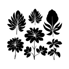  leaf vector, herb silhouette, silhouette plant, silhouette flower, silhouette floral, plantpot, leaf, tree, plant, nature, vector, bamboo, pattern, branch, silhouette, floral, flower, design, illustr