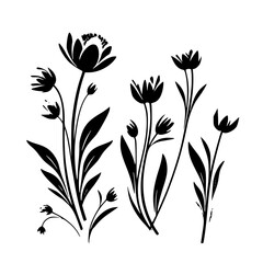  leaf vector, herb silhouette, silhouette plant, silhouette flower, silhouette floral, plantpot, leaf, tree, plant, nature, vector, bamboo, pattern, branch, silhouette, floral, flower, design,