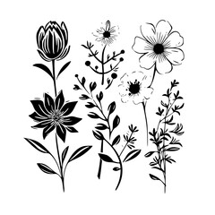  leaf vector, herb silhouette, silhouette plant, silhouette flower, silhouette floral, plantpot, leaf, tree, plant, nature, vector, bamboo, pattern, branch, silhouette, floral, flower, design,