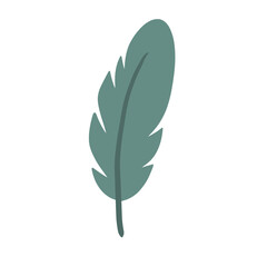 Fototapeta premium Feathers