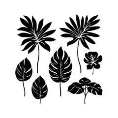  leaf vector, herb silhouette, silhouette plant, silhouette flower, silhouette floral, plantpot, leaf, tree, plant, nature, vector, bamboo, pattern, branch, silhouette, floral, flower, design,