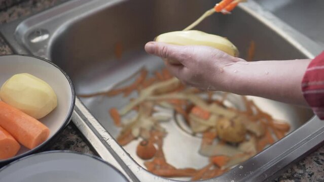 Person peeling carrots in sink with food ingredients and Cookware