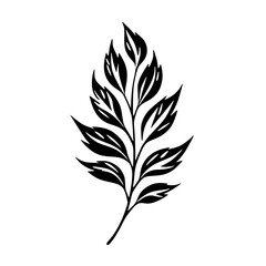  leaf vector, herb silhouette, silhouette plant, silhouette flower, silhouette floral, plantpot, leaf, tree, plant, nature, vector, bamboo, pattern, branch, silhouette, floral, flower, design,