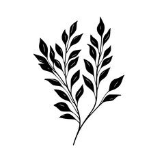  leaf vector, herb silhouette, silhouette plant, silhouette flower, silhouette floral, plantpot, leaf, tree, plant, nature, vector, bamboo, pattern, branch, silhouette, floral, flower, design,