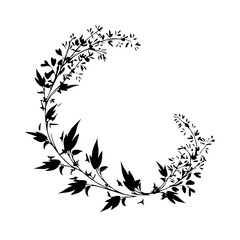 frame, flower, floral, design, vector, pattern, illustration, decoration, art, ornament, border, leaf, vintage, nature, plant, element, decor, black, ornate, swirl, branch, silhouette, decorative, sty