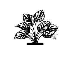  leaf vector, herb silhouette, silhouette plant, silhouette flower, silhouette floral, plantpot, leaf, tree, plant, nature, vector, bamboo, pattern, branch, silhouette, floral, flower, design,