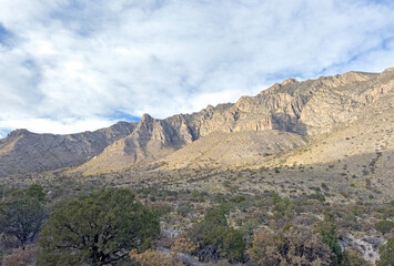 A vast landscape of lush greenery and desert sands with large mountains in the background. This scenic view is from Guadalupe Mountains National Park in Texas. 