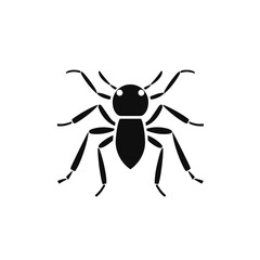 ant bug  vector illustration isolated transparent background, cut out or cutout t-shirt design