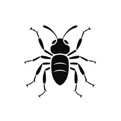 bug  vector illustration isolated transparent background, cut out or cutout t-shirt design