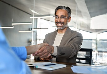 Happy mature business man recruiter hr manager and recruit handshake at job interview. Smiling middle aged professional executive advisor and bank client shake hands at corporate office meeting.