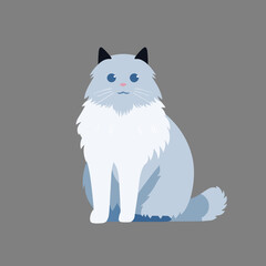 Birman cat  vector illustration isolated grey background, cut out or cutout t-shirt design