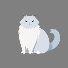 Birman cat  vector illustration isolated grey background, cut out or cutout t-shirt design