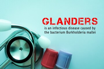 Glanders, an infectious disease caused by the bacterium Burkholderia mallei.