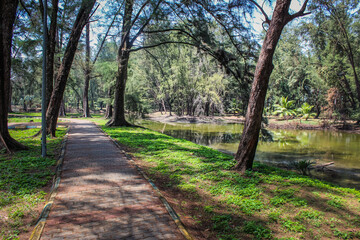 path in the park with lake and trees at taman gelora, kuantan pahang.