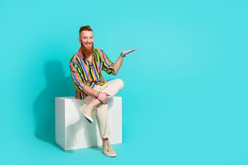 Full body length photo of bearded guy red hair businessman sit podium hold on palm new property price isolated over blue color background