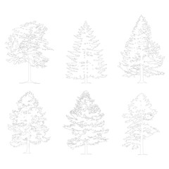 Cad linear trees, vector set