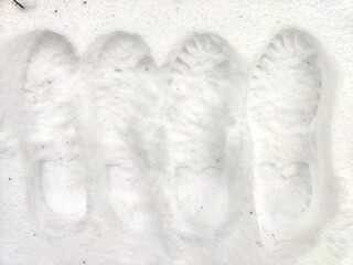 Several footprints in row from human shoes on the white snow in winter. Background, pattern,...