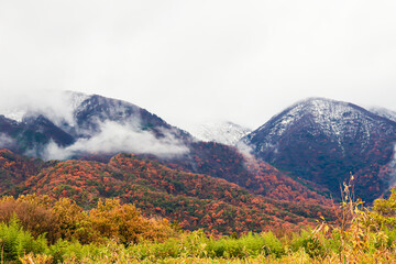 Fototapeta premium The mountain landscape shrouded in mist with autumn trees.