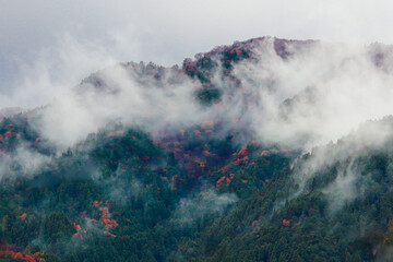 Fototapeta premium The mountain landscape shrouded in mist with autumn trees.