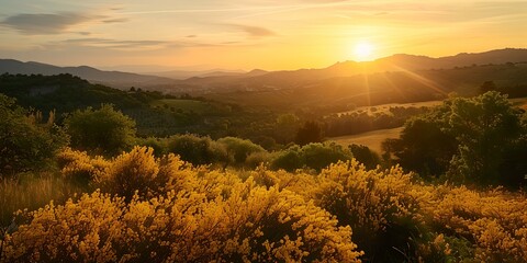 Serene sunset over rolling hills, warm light bathing the landscape in golden hues. perfect for wall art and calendars. AI