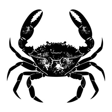 recommend clip art: Silhouette crab full body black color only
