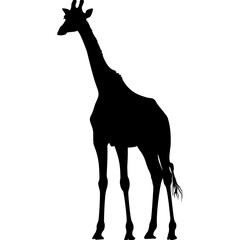 Silhouette giraffe black color only full body