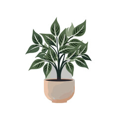 Fototapeta premium botanical svg, floral svg, flower svg, botanical clipart, floral clipart, flower clipart, wildflower svg, plant svg, floral bundle svg, line art svg, floral line art svg, Plants svg file, 