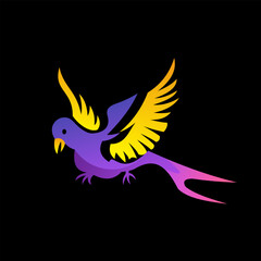bird design colorful gradient new style