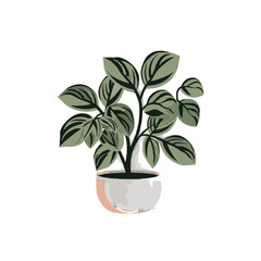 botanical svg, floral svg, flower svg, botanical clipart, floral clipart, flower clipart, wildflower svg, plant svg, floral bundle svg, line art svg, floral line art svg, Plants svg file, 